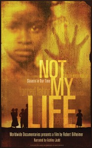 Not-My-Life-Graphic-5X8-188x300-1  